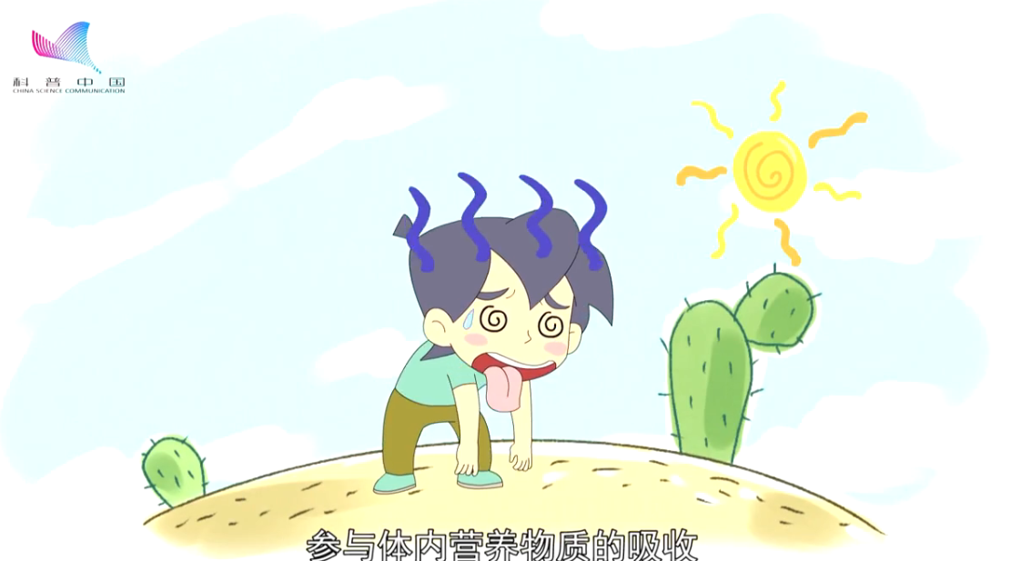 《樂樂熊奇幻追蹤》27集：為什么生命離不開空氣和水