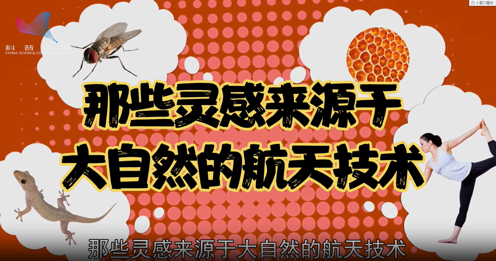 萌航天：那些靈感來源于大自然的航天技術